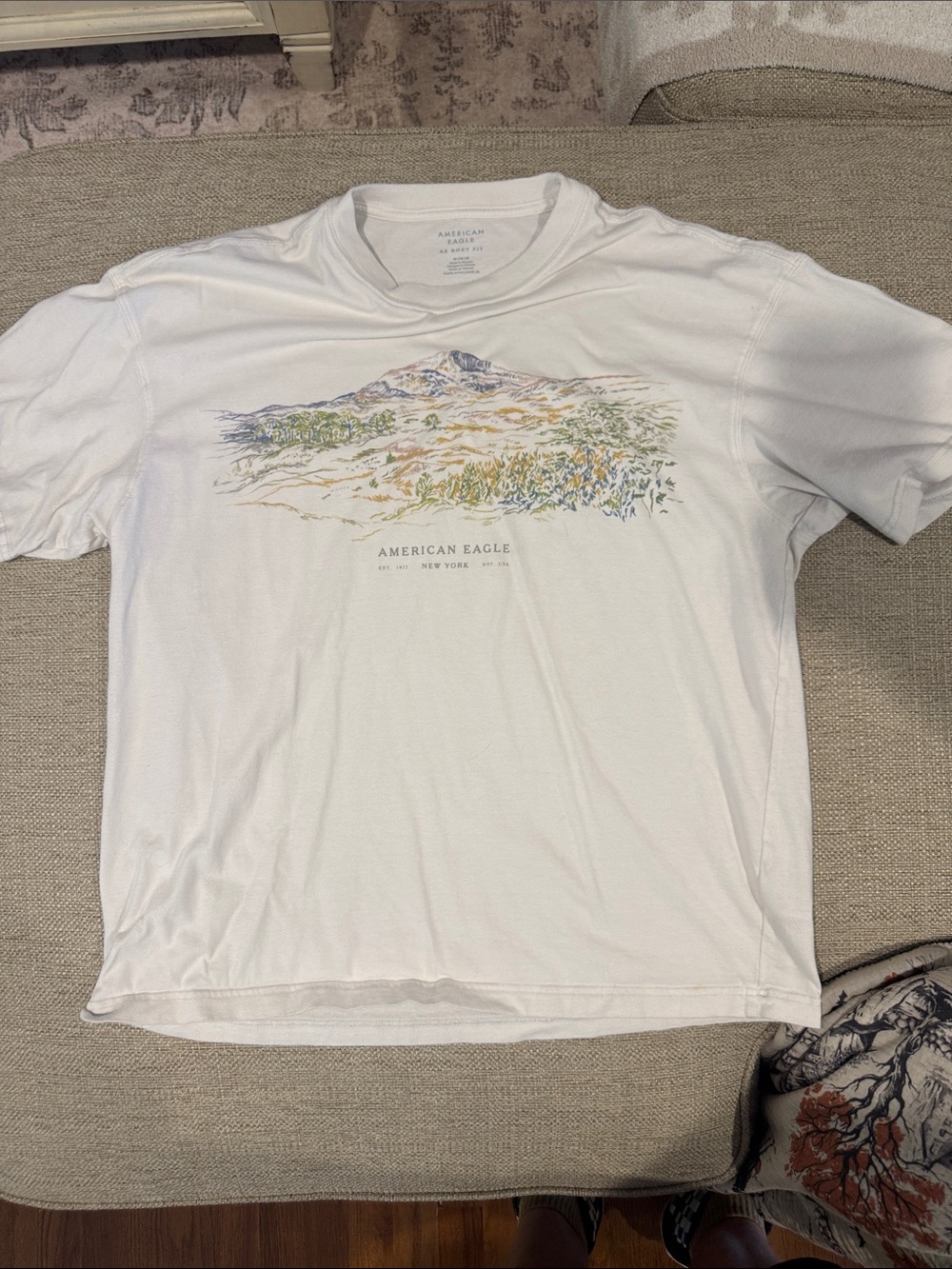 American Eagle White Scenic Graphic Tee for Men boxy fit